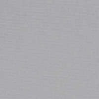 DEVONSTONE SOLIDS - 017 Stone Fossil