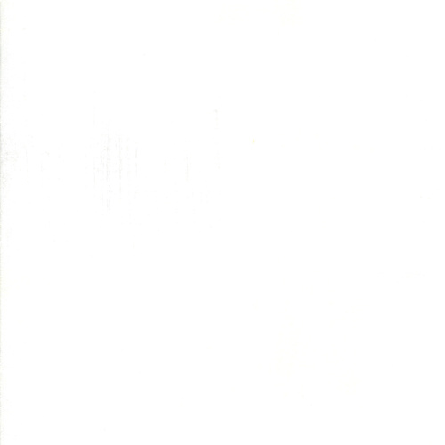 Grunge White Paper - 30150.101