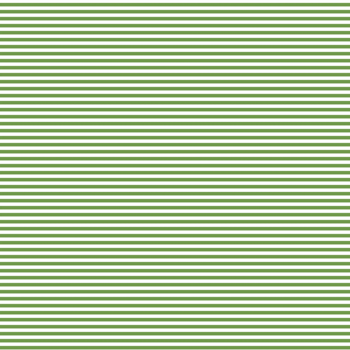 Fundamentals ⅛" Stripe Crocodile - DV2875